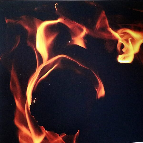 Andor Edit: metamorfózis - fotó 