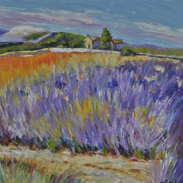 Szűcs Ildikó Levendulás